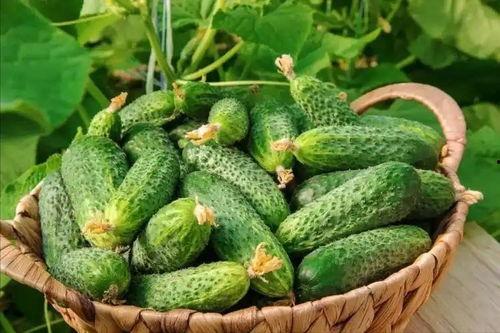 最近大瓜事件,揭秘明星隐私风波背后的真相