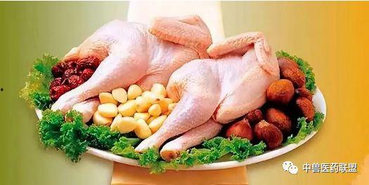 欧美鸡肉出口视频,欧美鸡肉出口市场动态解析