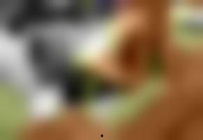 欧美狂热视频欣赏网,探索激情四溢的视觉奇观