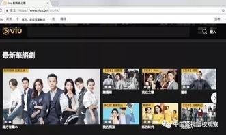 欧美成视频网站,揭秘热门平台与热门内容