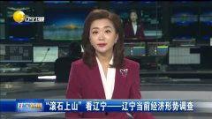 上观新闻欧美视频,欧美视角下的热点事件深度解析