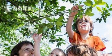 欧美5岁女孩小便视频,家庭教育与隐私边界