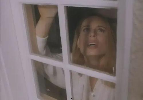 欧美大尺度视频视,揭秘成人娱乐产业的秘密面纱