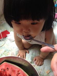 萌宝吃瓜视频在线观看,欢乐无限，在线观看，笑料连连