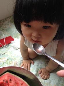 萌宝吃瓜视频在线观看,欢乐无限，在线观看，笑料连连