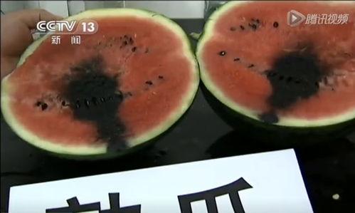 什么叫吃瓜群体视频播放,视频播放背后的狂欢现象