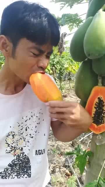 口水蛙吃瓜视频免费观看,揭秘热门视频背后的秘密