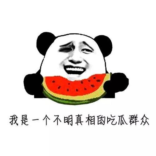 聊天吃瓜视频,聊天视频背后的娱乐狂欢