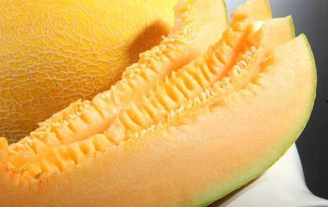 新疆动物吃哈密瓜视频播放,动物们的味蕾狂欢