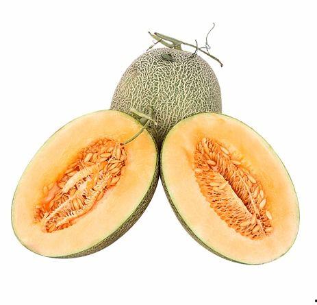 新疆动物吃哈密瓜视频播放,动物们的味蕾狂欢