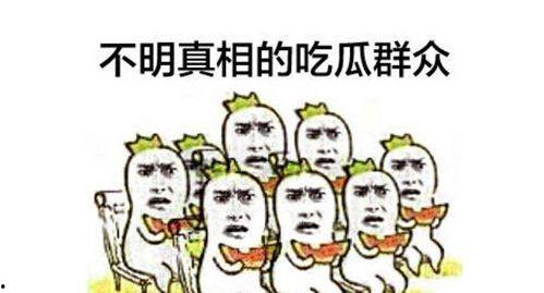 吃瓜群众吵架完整版视频