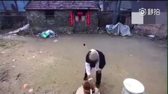 吃瓜老人视频在线观看,网络红人视频盛宴