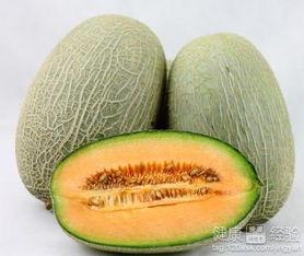 冬天哈密瓜敢吃吗视频,揭秘哈密瓜的冬日美味之旅