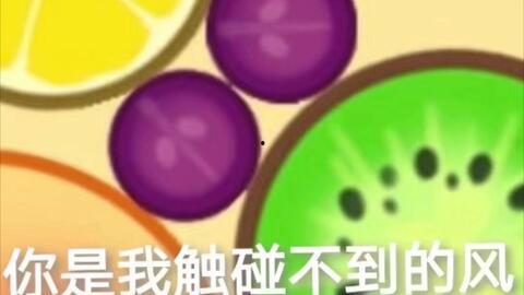 吃瓜表情包巨大西瓜视频,瓜界巨作！吃瓜表情包与巨大西瓜视频的跨界狂欢